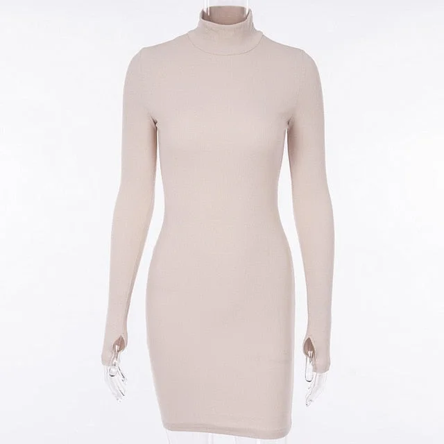 Turtleneck Mini Dress.